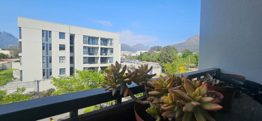 To Let 1 Bedroom Property for Rent in Dennesig Western Cape